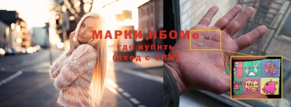 индика Михайловск