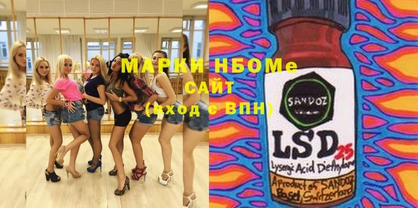 индика Михайловск