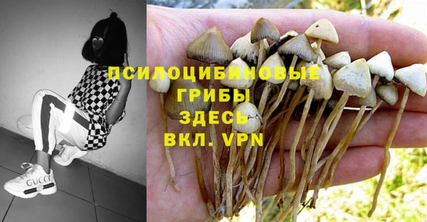 дурь Абаза