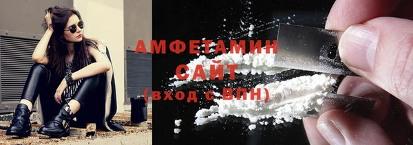 индика Михайловск