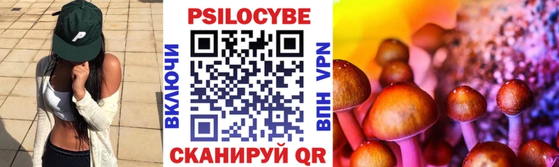 цена наркотик  Юрюзань  Псилоцибиновые грибы Cubensis 